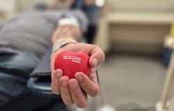As bolsas de sangue são essenciais para abastecer hospitais, prontos-socorros, maternidades e centros oncológicos Foto: Divulgação/Governo de SP