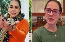 Silvia Abravanel perde cobra dentro de casa por meses e acha bicho em lugar surreal