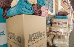 triagem e são distribuídos de forma contínua ao longo da campanha. LEIA TAMBÉM