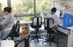 tunidades para pesquisadores brasileiros e estrangeiros desenvolverem projetos d