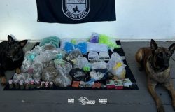 tamento característica para detecção de entorpecentes em um ponto da via. Diante