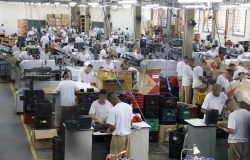 meio da Fundação “Prof. Dr. Manoel Pedro Pimentel” (Funap), possui, desde 2023