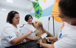 tunidade. Nesta etapa, as unidades móveis do programa estão distribuídas em 18 C