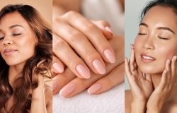 Muito além do cabelo: Como usar óleo de argan para previnir o envelhecimento precoce e tratar a acne