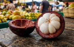 novidades. Entre essas preciosidades exóticas, destaca-se uma espécie fascinante