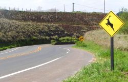 © Câmara Municipal de Sta Bárbara/Divulgação