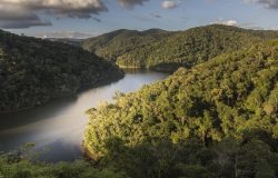 corredores ecológicos. Esses registros incluem espécies altamente sensíveis à fr