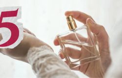 5 perfumes (Foto Reprodução/Montagem/TV Foco)