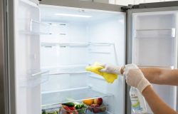 Manter a geladeira higienizada é essencial para conservar os alimentos e garantir a eficiência do aparelho. – Imagem gerada por IA