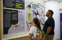 ário e prepara novo ‘Baratódromo’ O Planeta Inseto, exposição permanente do Muse