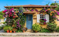 O segredo para uma floração abundante e vibrante da primavera exige sol pleno e podas regulares. – Imagem gerada por IA