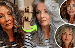 Reprodução/ Montagem TV Foco/Internet/Pinterest)
