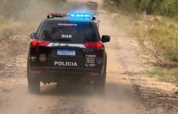 tar os animais furtados. A quadrilha atuava durante a madrugada, conhecia a roti