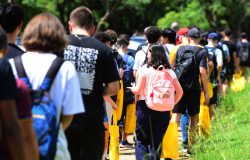 Governo de São Paulo investiu R$ 64 bilhões nas universidades desde 2023, alta de 28,9%