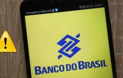 Divulgação)