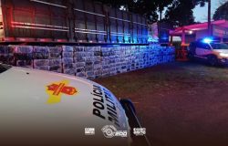 tada por um caminhão. Os policiais militares do Tático Ostensivo Rodoviário (TOR