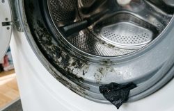 O uso de vinagre branco é uma solução eficiente e sustentável para manter seu eletrodoméstico higienizado. – Imagem gerada por IA