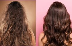 Reprodução/ Freepik)