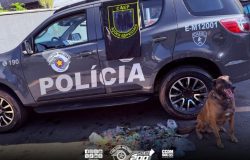 tráfico de drogas nesta sexta-feira (10), no bairro Calmon Viana, em Poá. A ação