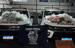 equipes de Força Tática do 46º Batalhão de Polícia Militar do Interior (BPM/I) a