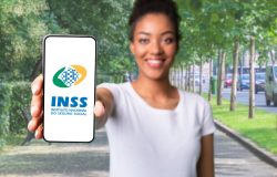 Reprodução – INSS)