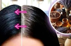 Tônico de chá preto: Veja método que ajuda a escurecer o cabelo grisalho sem química