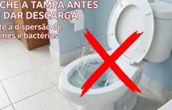 Higiene do banheiro: entenda por que fechar a tampa do vaso sanitário é essencial
