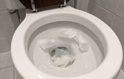 Por que jogar papel higiênico no vaso sanitário é um erro comum no Brasil