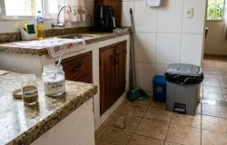 Bicarbonato de sódio e orégano: o truque caseiro que promete neutralizar odores e afastar insetos
