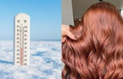 Tendências para 2026: cinco tons claros de cabelo que prometem iluminar seu inverno