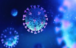 Viroses: entenda as principais doenças causadas por vírus e como se prevenir