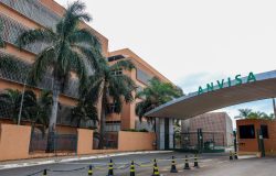 Anvisa autoriza novo tratamento para linfoma não Hodgkin no Brasil