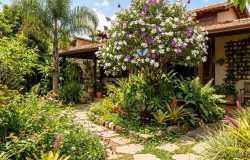 Jardim nativo: como criar um refúgio de biodiversidade em sua própria casa