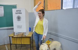 Eleições 2026: Brasil registra aumento recorde de eleitores com deficiência