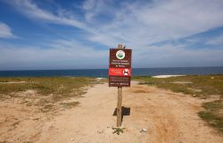Restinga de Maricá: o impasse entre o projeto Maraey e comunidades tradicionais