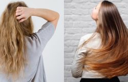 Óleo de coco e argan: como usar esses aliados para eliminar o frizz e recuperar o brilho