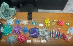 Ação policial em Suzano resulta na prisão de traficante e apreensão de centenas de porções de drogas