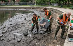 Lago de Pamplona revela desastre ambiental com tartarugas invasoras uma década após descoberta