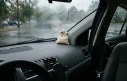 Arroz no painel do carro: entenda o motivo da prática e seus limites reais