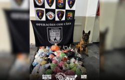 Cão farejador do BAEP encontra esconderijo subterrâneo com 23 kg de drogas em Osasco