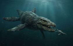 Doris: o predador jurássico que redefiniu a história dos oceanos