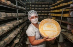 Inspeção de produtos animais: saiba como os selos protegem a sua saúde e o mercado
