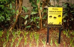 jardim1