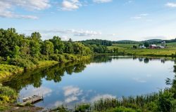 Lago artificial no Alabama se transforma em refúgio de biodiversidade em mil dias