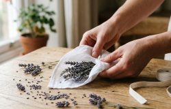Lavanda no tecido: a tradição secular que promove bem-estar no dia a dia