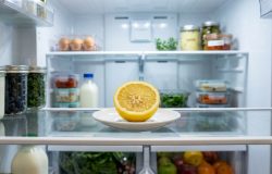 Limão na geladeira: entenda o que há de verdade no hábito de usar a fruta para neutralizar odores