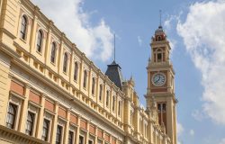 lingua portuguesa