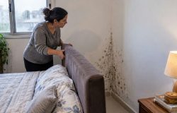 Manchas persistentes nas paredes: a rotina de inverno que desvendou a causa do mofo em residências