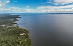 Meio ambiente e clima: as propostas de Flávio e Lula para o segundo turno