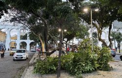 Meteorologistas descartam ligação direta entre ventanias históricas e fenômeno El Niño